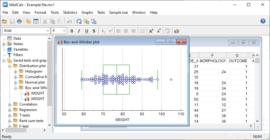 download medcalc 20.218